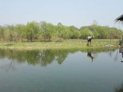 -溱湖国家湿地公园
