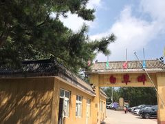 -白草畔自然风景区