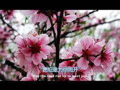-温江公园