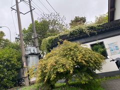 -鹅湖玫瑰文化园