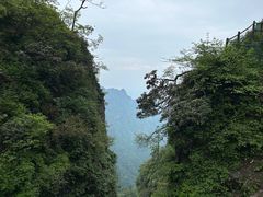 -峨眉山风景名胜区