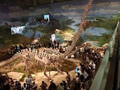 -自贡恐龙博物馆