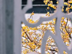 -太平天国历史博物馆(瞻园)