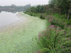 -东郊湿地公园