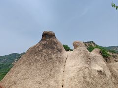 -大岭沟猕猴桃谷风景区