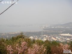 -香雪海