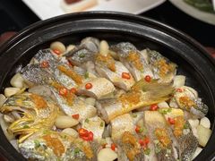 -芙蓉堂(武汉天地店)