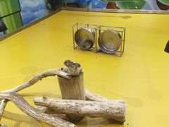 -齐齐哈尔龙沙动植物园