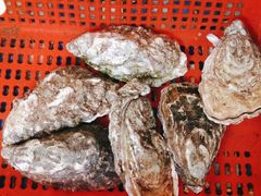 -顺德了能馆(虎门店)