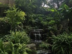 -磁器口古镇