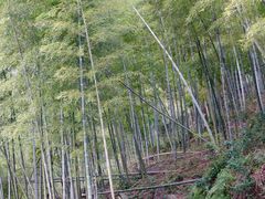 -白云源风景区