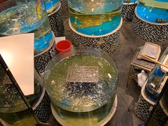 -蓬川食府(金海道店)