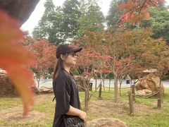 -广州市帽峰山景区