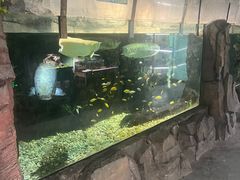 -嘉兴海底世界