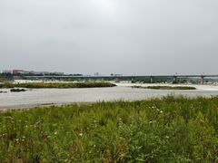 -绿堤公园