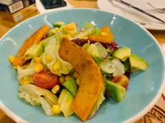 培根沙拉-天津普拉那啤酒坊(意风区店)