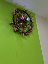 -变美丽半永久纹眉连锁·机器野生眉•洗眉