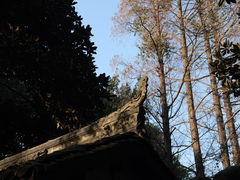 -成都杜甫草堂博物馆