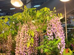 -双季花艺园艺市场(浦东店)