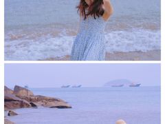 -枸杞岛