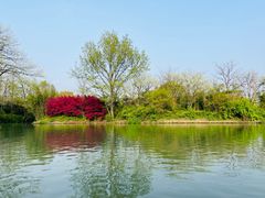 -西溪国家湿地公园