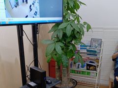 -金博智慧注意力感统训练(回龙观校区)