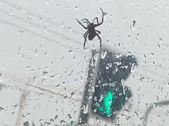 -成都银泰城