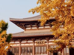 -隆福寺