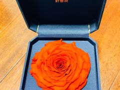 -BEAST野兽派(上海浦东嘉里城店)