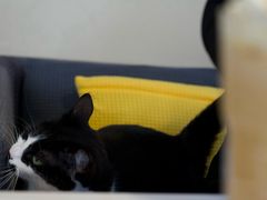 -路易时光(蕴川路店)