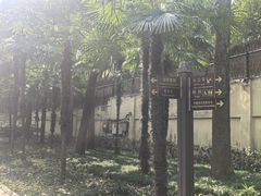 -徐家汇源景区-衡山公园