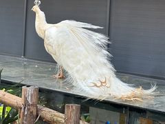 -昆明动物园