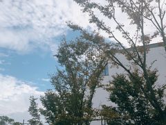 -黎里古镇