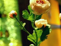 花花-鸣龙上雅铁板烧日料(长宁店)