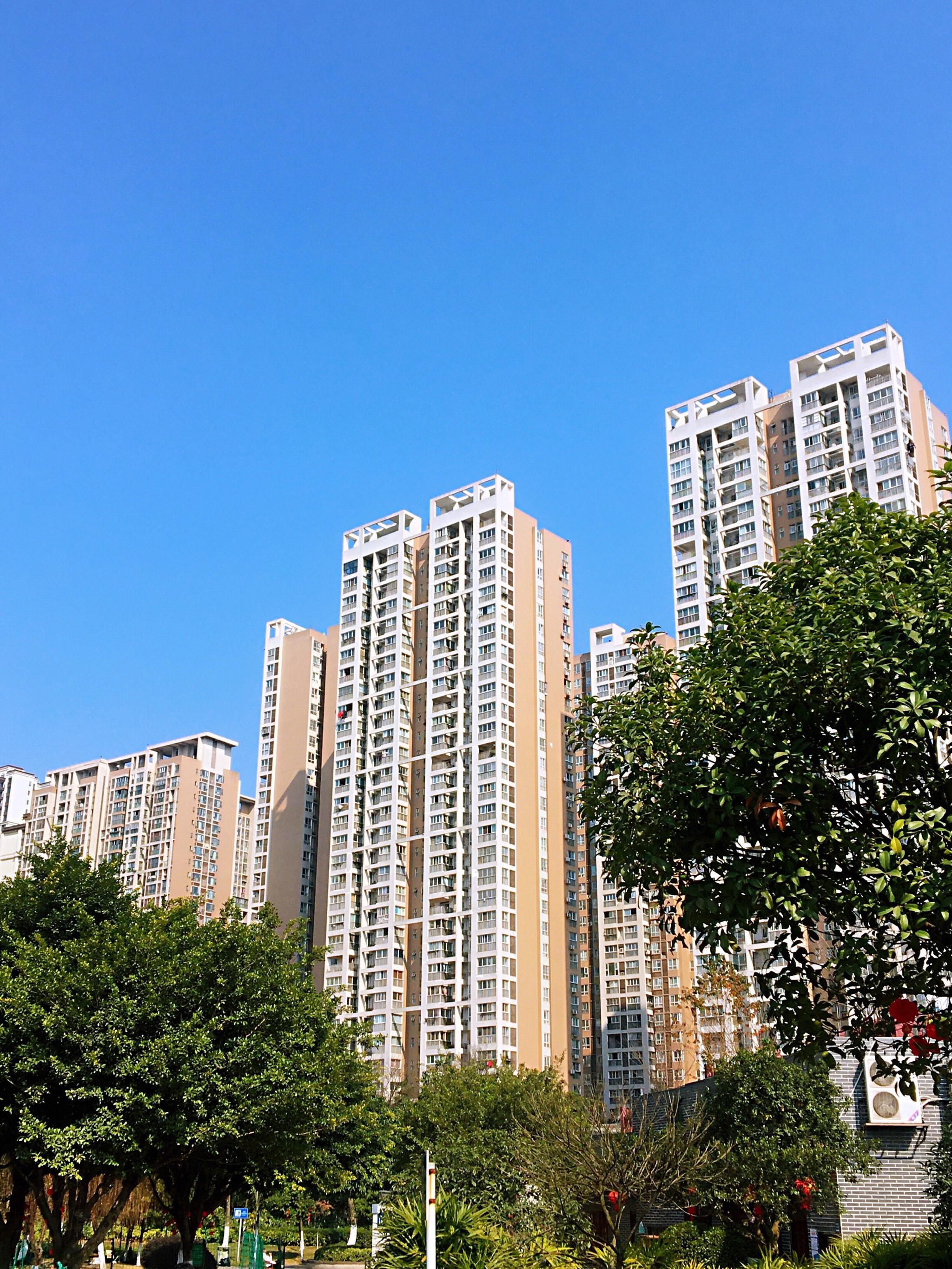 西西里二期的位置真好,门前就是茶文化公园