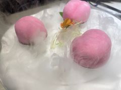 -点都德·毕德寮
