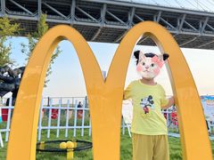 -麦当劳(浦江镇绿地乐和城店)