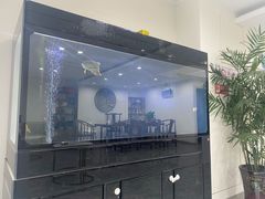 -翟韵茶咖棋牌