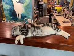 -咖法森林·咖啡  酒吧(天河店)