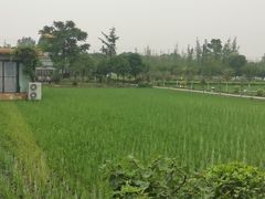 -洪湖家庭农场·团建·露营·会议