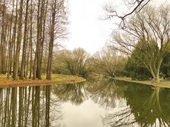 -上海共青森林公园