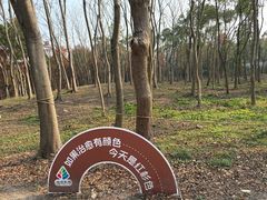 -上海海湾国家森林公园