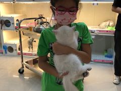 -lincat·猫舍(广州店)