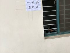 -久萌教培·仙霞网球中心官方培训