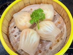 虾饺-玉兰苑一等茶餐厅