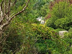 -武清南湖绿博园