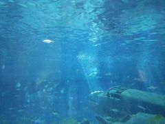 -福州罗源湾海洋世界旅游区