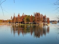 -贡湖湾湿地公园
