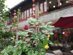 -四海楼(如皋定慧禅寺店)