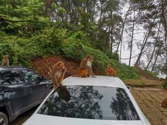 -重庆雨台山风景区